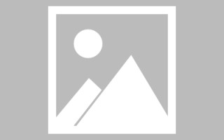 阿拉尔诸城定制网站建设（诸城网络科技有限公司）