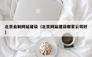 阿拉尔北京自制网站建设（北京网站建设哪家公司好）